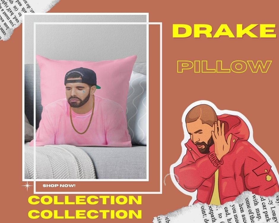 no edit drake pillow - Drake Shop